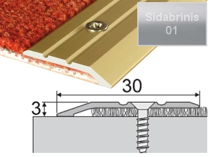 Profilis su nuolydžiu A01 sidabrinis, 180cm 30x3mm