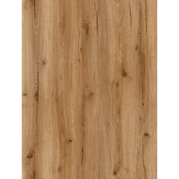 Vinilinė grindų danga SENTAI SPC ezLife Oak Salzburg, 1220x181x4,7mm