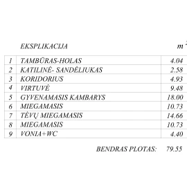 Sodo namo projektas RAPOLAS-2