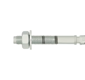 Ankeriai RAWLPLUG R-S3-XPT08060, 8x60mm