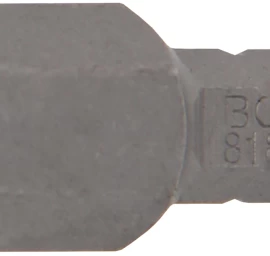 Antgalis | 6.3 mm (1/4) | hex šešiakampis 10 mm (8181)