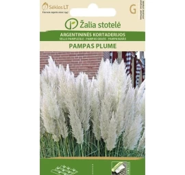 Argentininės kortaderijos PAMPAS PLUME, 2g