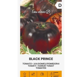 Pomidorai BLACK PRINCE