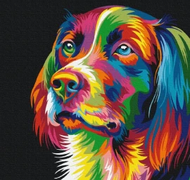 Symag Paint it - Dog in  colors