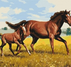 Symag Paint it! -        Family gallop