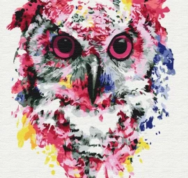 Symag Paint it! Owl